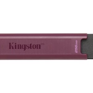 PEN DRIVE 1TB KINGSTON USB3.2 GEN 2 TYPE A DT MAX